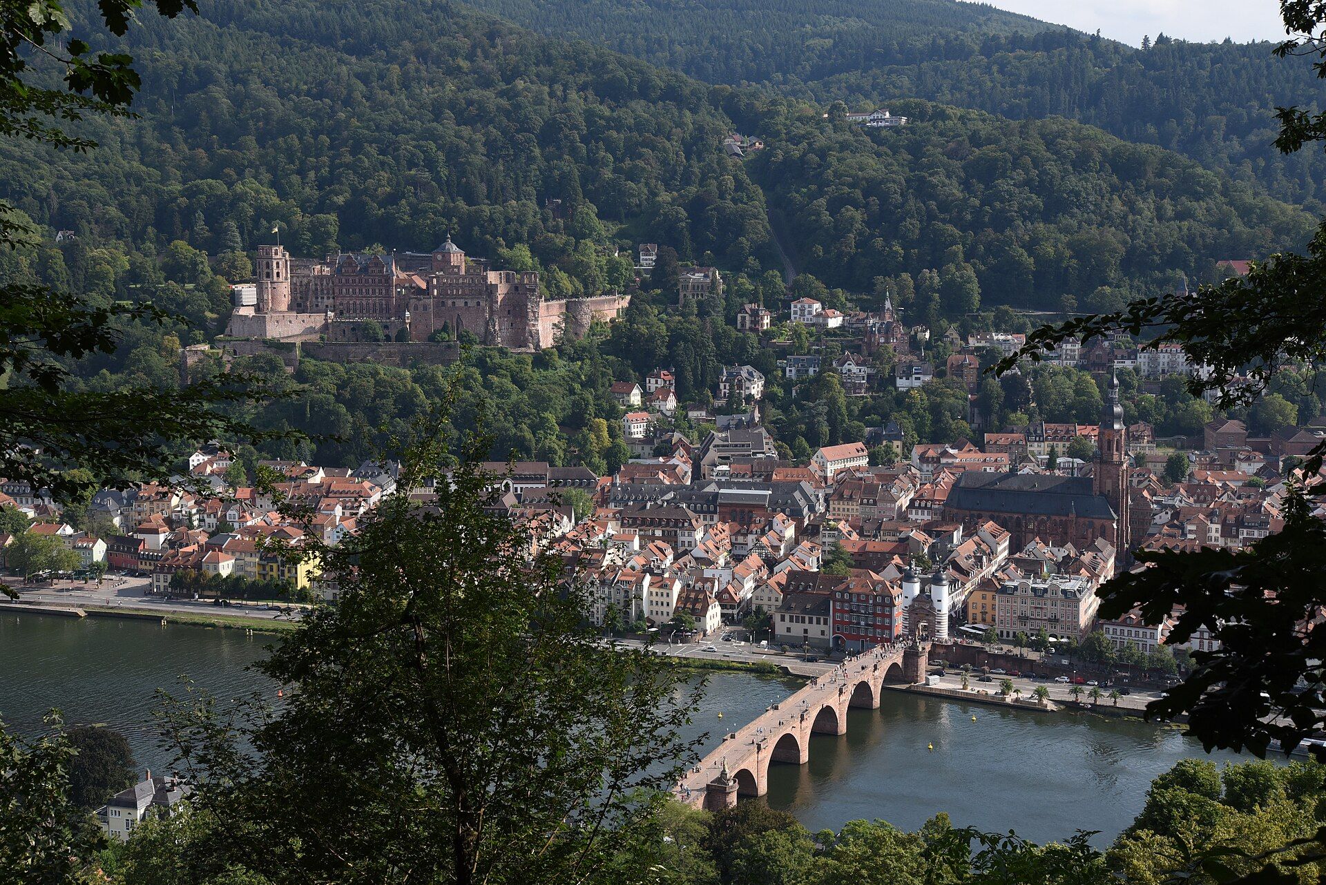 Blick über die Heidelberger Altstadt mit Schloss und Alter Brücke am Neckar